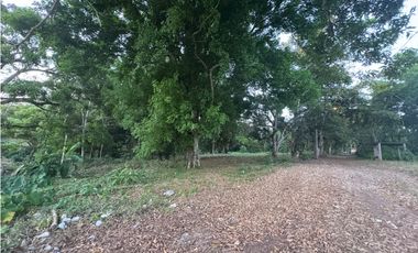 LA CHORRERA / EL ESPINO / 6818M / SOBRE LA VIA / USO COMERCIAL / AG