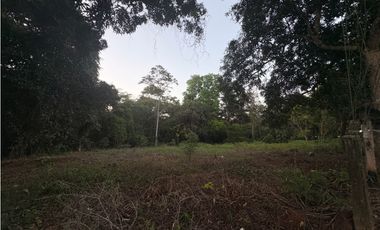 LA CHORRERA / EL ESPINO / 6818M / SOBRE LA VIA / USO COMERCIAL / AG