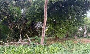 LA CHORRERA / EL ESPINO / 6818M / SOBRE LA VIA / USO COMERCIAL / AG