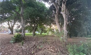 LA CHORRERA / EL ESPINO / 6818M / SOBRE LA VIA / USO COMERCIAL / AG