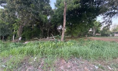 LA CHORRERA / EL ESPINO / 6818M / SOBRE LA VIA / USO COMERCIAL / AG