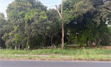 LA CHORRERA / EL ESPINO / 6818M / SOBRE LA VIA / USO COMERCIAL / AG