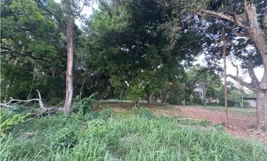 LA CHORRERA / EL ESPINO / 6818M / SOBRE LA VIA / USO COMERCIAL / AG