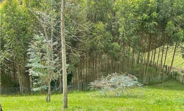 Finca en El Retiro 12.000 m² con casa, agua y bosque natural