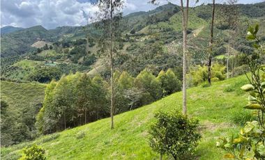Finca en El Retiro 12.000 m² con casa, agua y bosque natural