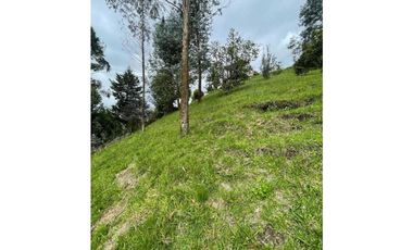 Finca en El Retiro 12.000 m² con casa, agua y bosque natural