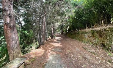 Finca en El Retiro 12.000 m² con casa, agua y bosque natural