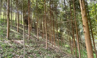 Finca en El Retiro 12.000 m² con casa, agua y bosque natural