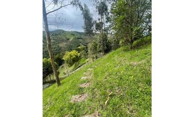 Finca en El Retiro 12.000 m² con casa, agua y bosque natural