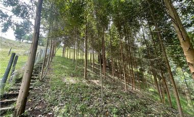 Finca en El Retiro 12.000 m² con casa, agua y bosque natural