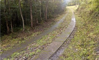 FINCA EN VENTA EN SOMONDOCO, VIA CUCUAVACA BOYACA