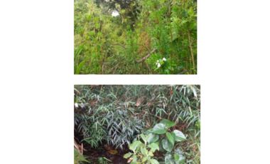 LOTE EN VENTA EN ALTOS DE POTOSI, GUASCA