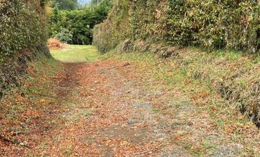 Lote en Venta La Ceja