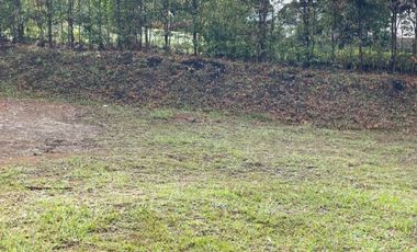 Lote en Venta La Ceja