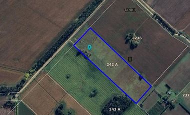 Venta Chacra el Solcito 13 has Tandil