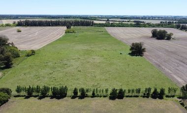 Venta Chacra el Solcito 13 has Tandil