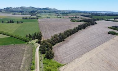 Venta Chacra el Solcito 13 has Tandil