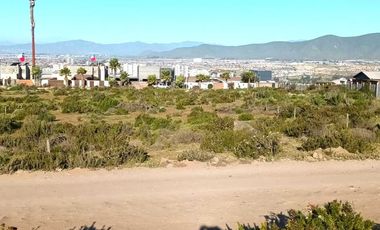 Parcela en venta  en COQUIMBO
