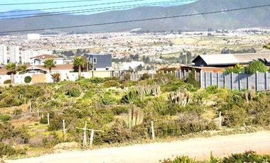 Parcela en venta  en COQUIMBO
