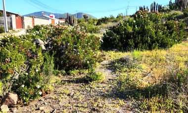 Parcela en venta  en COQUIMBO