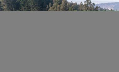 Terreno Construccion en Venta en Pedro de Valdivia, Chiguayante