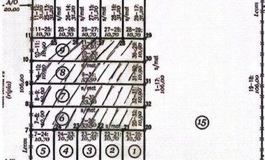 VENTA DE LOTES EN ANDINO