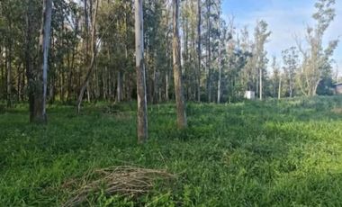 VENTA DE LOTES EN ANDINO