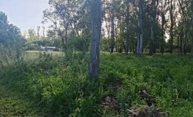 VENTA DE LOTES EN ANDINO