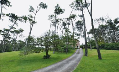 Venta Importante Casa en Carilo