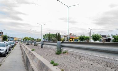 VENTA LOCAL COMERCIAL PLOTTIER