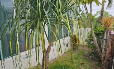 CASA EN RENTA, LOMAS DE JARDINES DE TUXPAN, VERACRUZ.