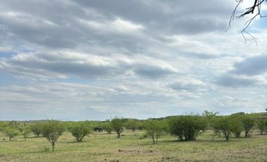 TERRENO EN VENTA, 3168m LA GRANJA LOS MOLLES CBA