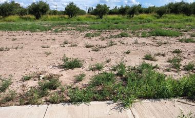 LOTE EN VENTA, NATANIA 73