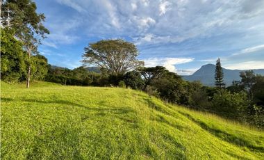 Venta de lote en amaga suroeste de Antioquia