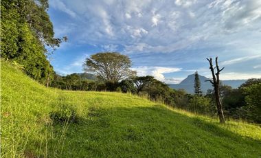 Venta de lote en amaga suroeste de Antioquia