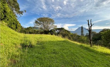 Venta de lote en amaga suroeste de Antioquia