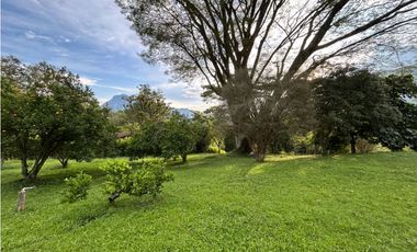 Venta de lote en amaga suroeste de Antioquia