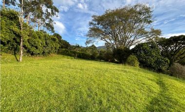 Venta de lote en amaga suroeste de Antioquia