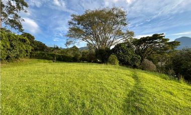 Venta de lote en amaga suroeste de Antioquia