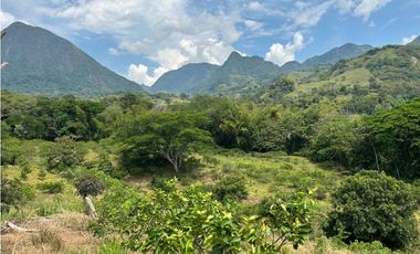 VENTA DE FINCA EN VENECIA SUROESTE ANTIOQUEÑO