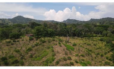 VENTA DE FINCA EN VENECIA SUROESTE ANTIOQUEÑO