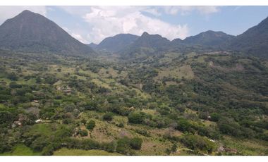 VENTA DE FINCA EN VENECIA SUROESTE ANTIOQUEÑO