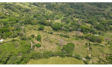 VENTA DE FINCA EN VENECIA SUROESTE ANTIOQUEÑO
