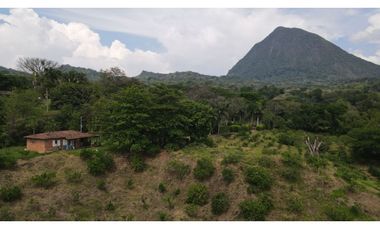 VENTA DE FINCA EN VENECIA SUROESTE ANTIOQUEÑO