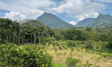 VENTA DE FINCA EN VENECIA SUROESTE ANTIOQUEÑO