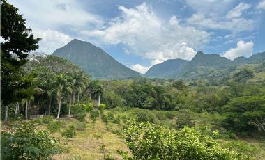 VENTA DE FINCA EN VENECIA SUROESTE ANTIOQUEÑO