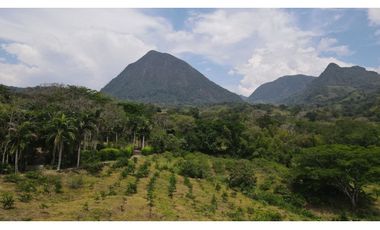 VENTA DE FINCA EN VENECIA SUROESTE ANTIOQUEÑO