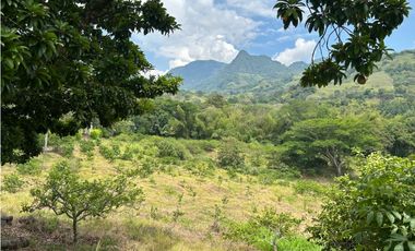 VENTA DE FINCA EN VENECIA SUROESTE ANTIOQUEÑO
