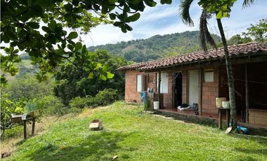 VENTA DE FINCA EN VENECIA SUROESTE ANTIOQUEÑO