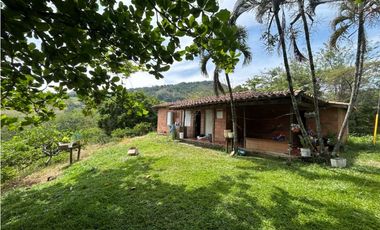 VENTA DE FINCA EN VENECIA SUROESTE ANTIOQUEÑO